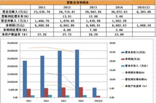 非新不炒 新股掘金之先鋒電子與厚普股份信息系統(tǒng)集成服務概覽